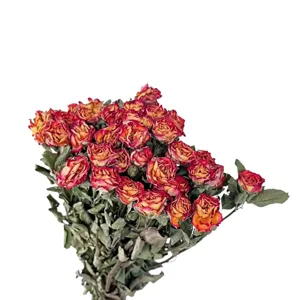 Natural dried rose bouquet real flowers for home decoration DIY floral arrangement crafts