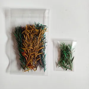 Preserved eucalyptus mini branches colorful dried plants for aromatherapy DIY craft projects.