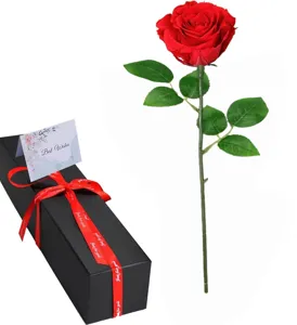 Konservierte rote Rose Einzelblume Geschenkbox mit Schleife und Grußkarte für romantische Anlässe.