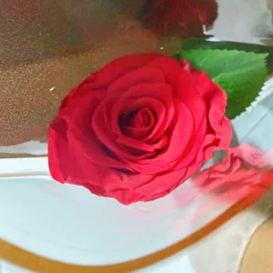 Konservierte Rose einzelner Blumenstrauß frische künstliche rote Rose Geschenk Party