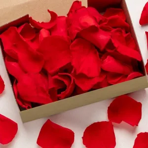 Red rose petals in box for wedding party decoration, romantic Valentine's Day confetti.