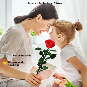 Detailansicht eines konservierten roten Rosen-Geschenks für Mütter, ideal für Feiertage.
