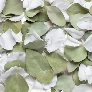 Natural dried eucalyptus leaves and white petals confetti for wedding party decoration eco-friendly.