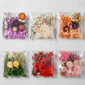 Dried Flowers Preserved Pressed Flowers Material Pack DIY Aromatherapy Candle Handmade Photo Frame Craft Supplies
