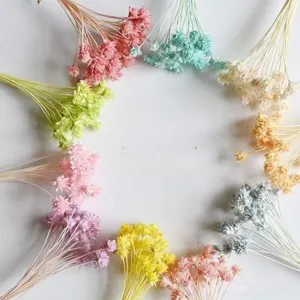 Colorful dried flowers bouquet natural preserved plants for home decor photography props detail view