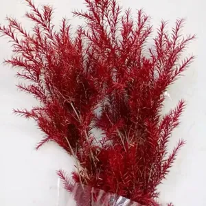 Red preserved dried plant bunch for wedding decor and floral arrangement bouquet supply