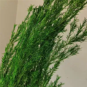 Green preserved pine branches foliage bouquet for home decor and floral arrangement.