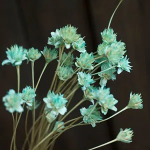 Detail shot of natural dried small daisy flowers, perfect rustic home decor and photography prop.