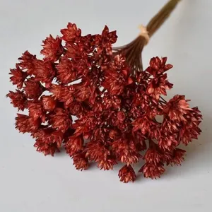 Natural dried flowers bouquet, rustic red floral bunch for home decor and photography props.
