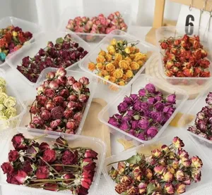 Dried rose flower buds multi-color mix for epoxy resin art and DIY craft candles pack