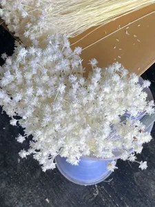 White dried flowers natural small daisy preserved floral decor for home room photography