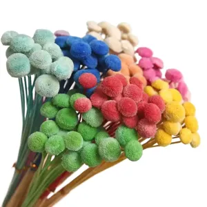 Natural Dried Flowers Mini Billy Balls Crraspedia Dried Flower Bouquet For DIY Crafts Home Floral Arrangement Decor