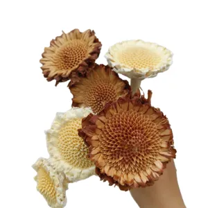 Natural dried flowers bouquet DIY craft material plant floral decor arrangement for home art