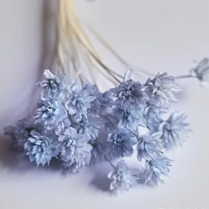 Closeup view of light blue dried small flowers, perfect for DIY crafts and home decor.