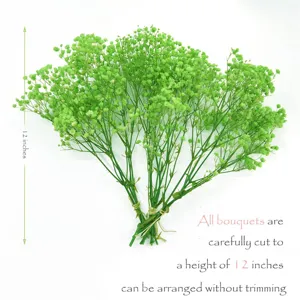 Green preserved baby's breath dried flowers bouquet 12 inches for home decor wedding party.