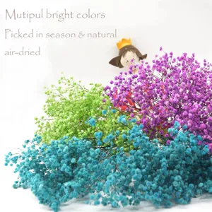 Preserved baby's breath dried flowers for DIY crafts, colorful gypsophila for home and wedding decor.