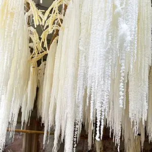 Natural dried hanging amaranth flowers for wedding and home decoration floral arrangements.