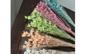 Natural dried starflowers bulk preserved floral bouquets for DIY craft home decor
