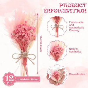 Detailed view of 12 pcs mini dried flower bouquet with jute bow, 16cm tall for decor.