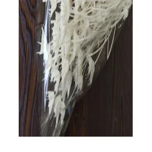 Natural white dried star anise flower botanical material detail for retro DIY floral crafts.