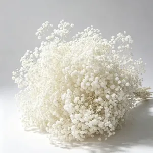 Natural Dried Baby Breath Flowers Preserved Gypsophila Bouquet For Wedding Home Decor DIY Floral Arranging Valentine Gift