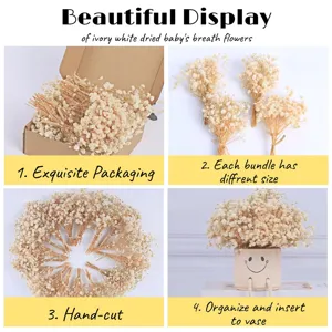Close up details of ivory white dried baby breath flowers showcasing packaging and bundles.