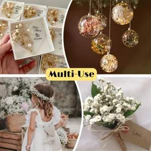 Natural preserved baby's breath dried flowers for wedding decor and DIY craft gifts.