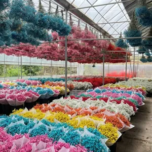 Colorful dried baby's breath flowers wholesale for wedding home decor and DIY crafts.
