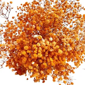 Dried baby's breath flowers bouquet for wedding home decor and DIY floral arrangements.