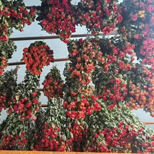 Bulk dried rose heads natural small dry flowers bunches for DIY craft floral arrangements