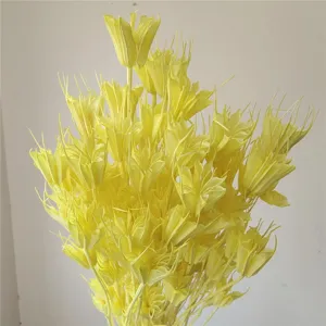 Natural yellow dried flowers bouquet for rustic floral arrangement and handmade DIY crafts.