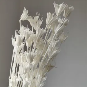 White dried star flowers bouquet for rustic home decor and DIY crafts floral arrangement