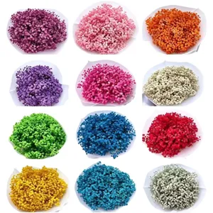 Colorful dried baby's breath gypsophila flowers bouquet for home decor and wedding arrangement