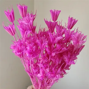 Pink dried star anise flowers bouquet for DIY floral arrangement home decor natural botanical