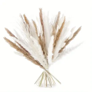 Natural dried pampas grass bouquet mixed color bunny tails floral arrangement detail view.