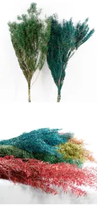 Close-up detail of colorful dried melaleuca flowers bouquet for modern home decor.