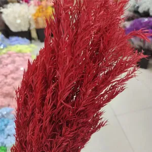 Red dried flowers natural plant bouquet for home decor floral arrangement wholesale.