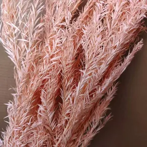 Dried Melaleuca flower detail shot, pink floral arrangement for home decor and DIY crafts.