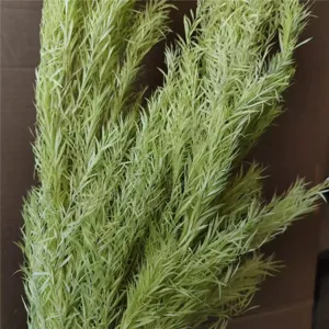 Green dried flowers detail, natural preserved plant stems for home decor and floral design.