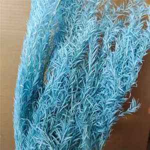 Blue dried melaleuca flower branches bouquet fine leaf botanical decor for interior home styling.