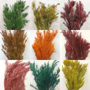 Natural Dried Flowers Real Plant Bouquet Dried Melaleuca For Home Decor Floral Arrangement Party DIY Crafts