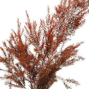 Natural dried tea tree branches dyed rust red foliage bouquet for home decor floral arrangements