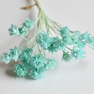 Light blue dried flower detail shot, perfect for home decor, floral crafts and DIY projects.