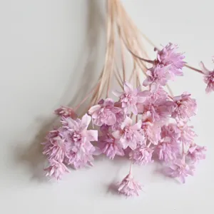 Detailed shot of light purple dried small mountain flowers for DIY crafts and home decors.