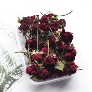 Natural dried mini roses for DIY epoxy resin crafts, aromatherapy candles, and photo frame decor.
