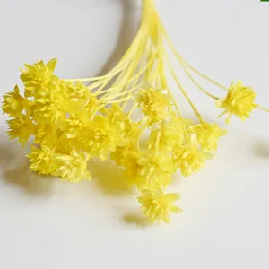 Yellow dried mini flowers detail shot for DIY crafts and home decor floral arrangement.