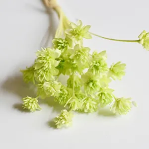 Close up view of dried small mountain flowers, light green floral material for craft.