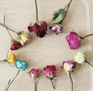 Natural dried rose flowers for DIY resin art, aromatherapy candles and photo frames.