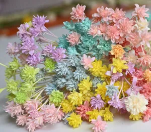 Colorful dried flowers bouquet for home decor and DIY crafts, natural preserved floral.