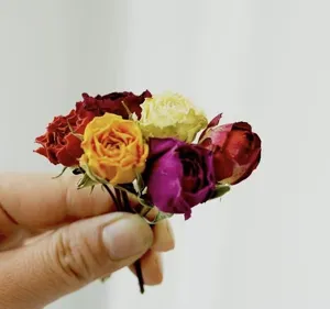 Colorful dried mini roses for DIY craft, epoxy resin, and scented candles decoration.
